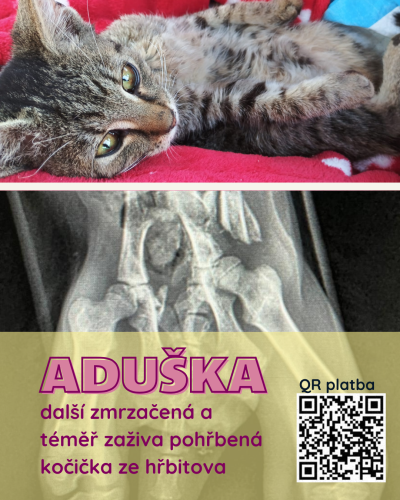 aduska
